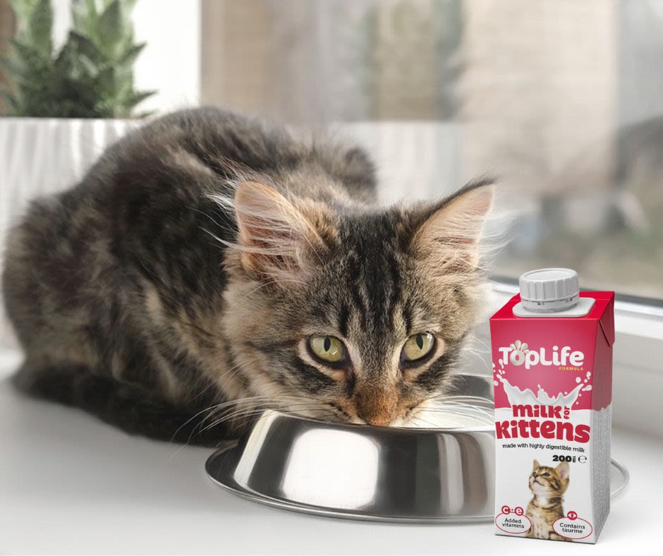 Toplife Formula Low Lactose Cows Milk for Kitten