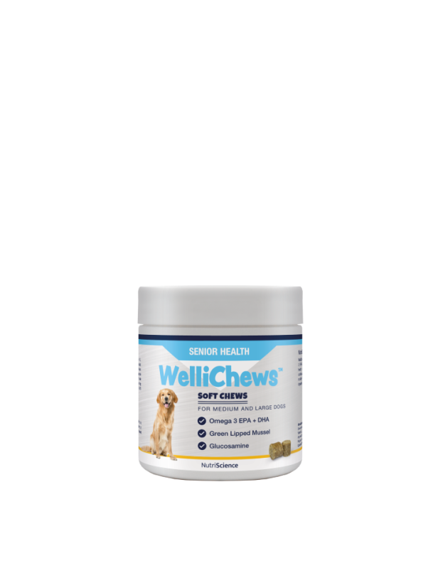 Wellichew Small Dog/Cat Senior Health Chew Supplements
