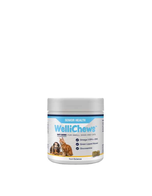 Wellichew Medium/Large Dogs Senior Health Chew Supplements