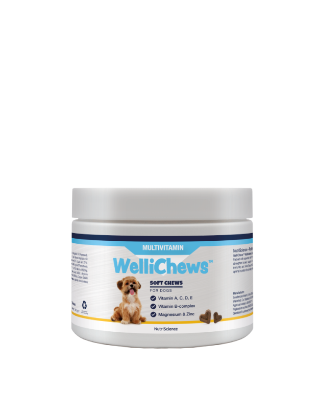 Wellichew Large Dogs Multi-Vitamin Supplements