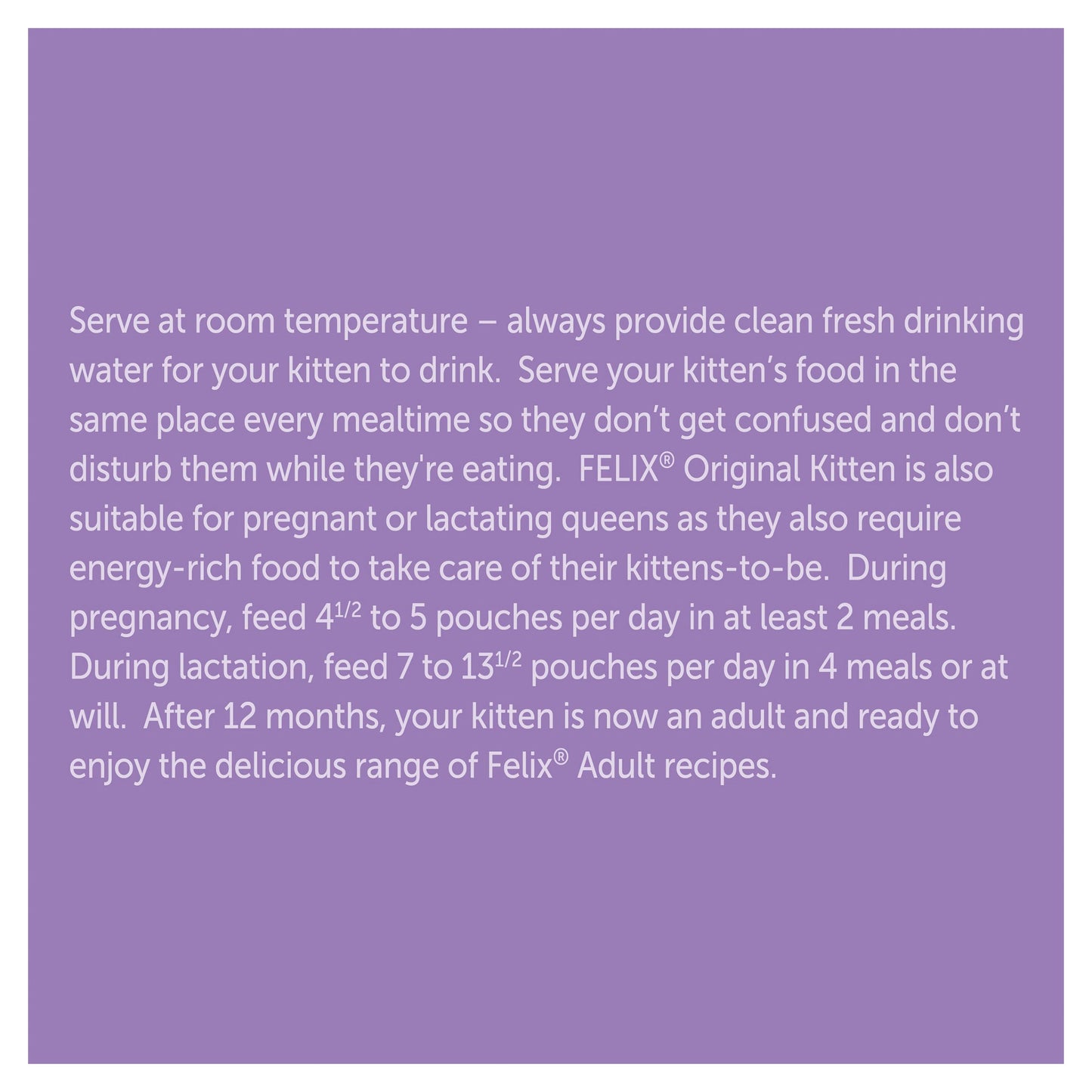 Felix Original Kitten Mixed Selection in Jelly Wet Cat Food