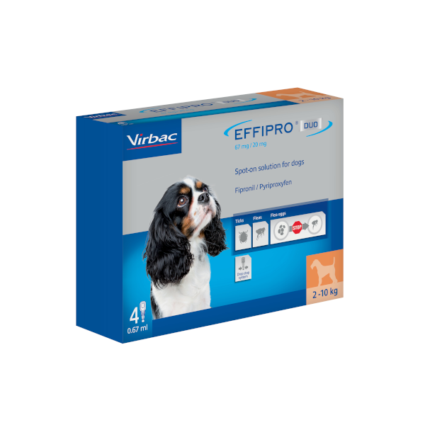 Effipro Duo Spot-On Solution for Small Dogs