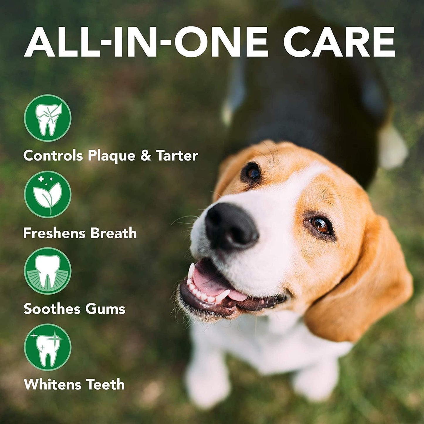 Vet's Best Triple Headed Toothbrush for Dogs