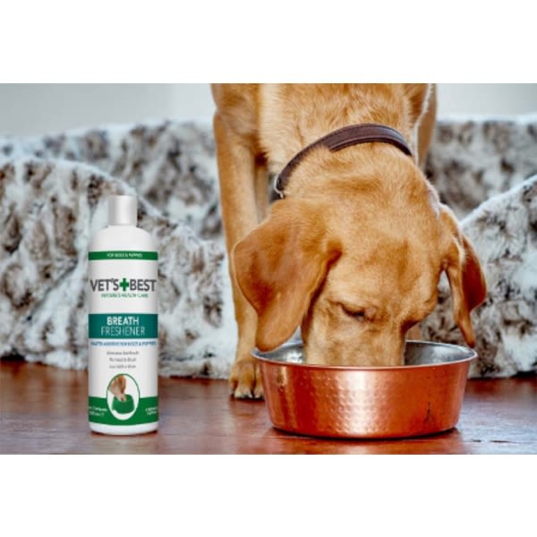 Vet's Best Dental Breath Freshener for Dogs
