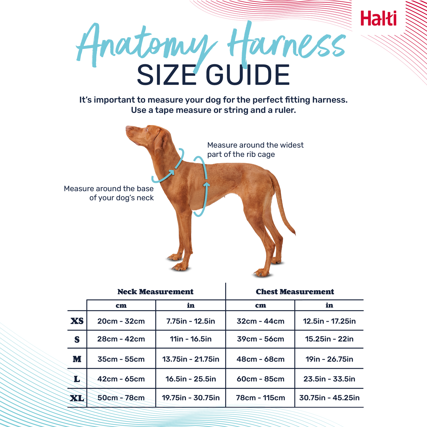Halti Anatomy Dog Harness - Green