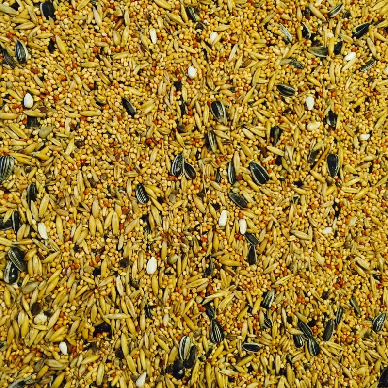 Bucktons Cockatiel & Lovebird Food