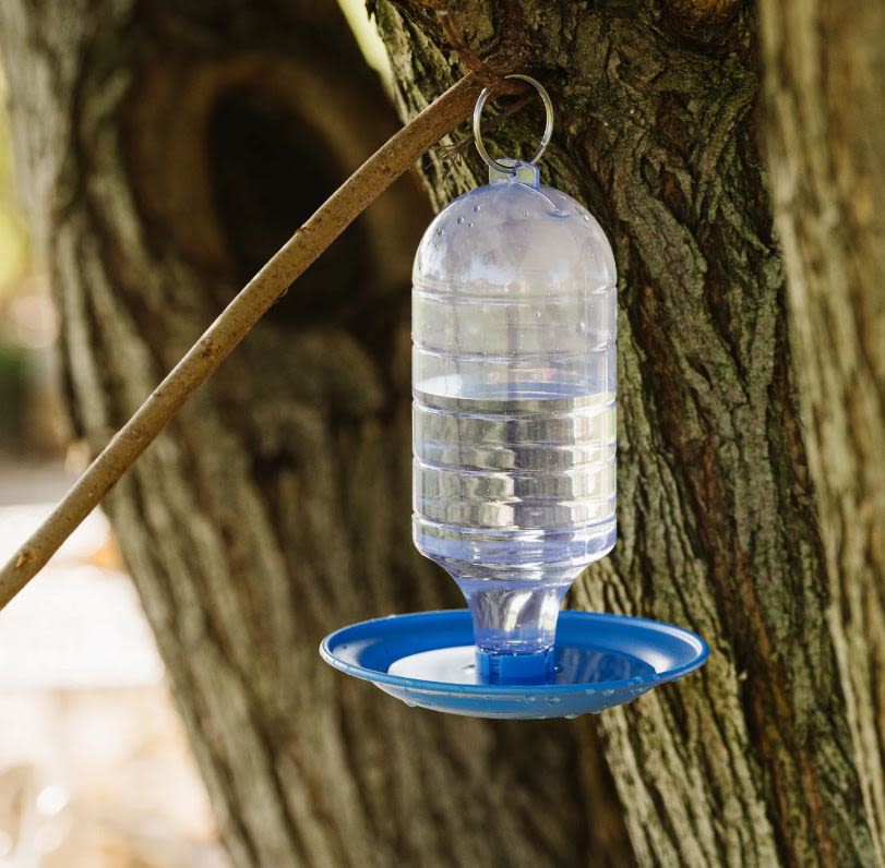 Peckish Bird Water Drinker for Wild Birds