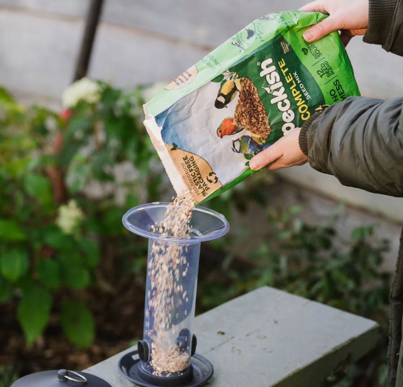 Peckish Funnel Seed Feeder for Wild Birds