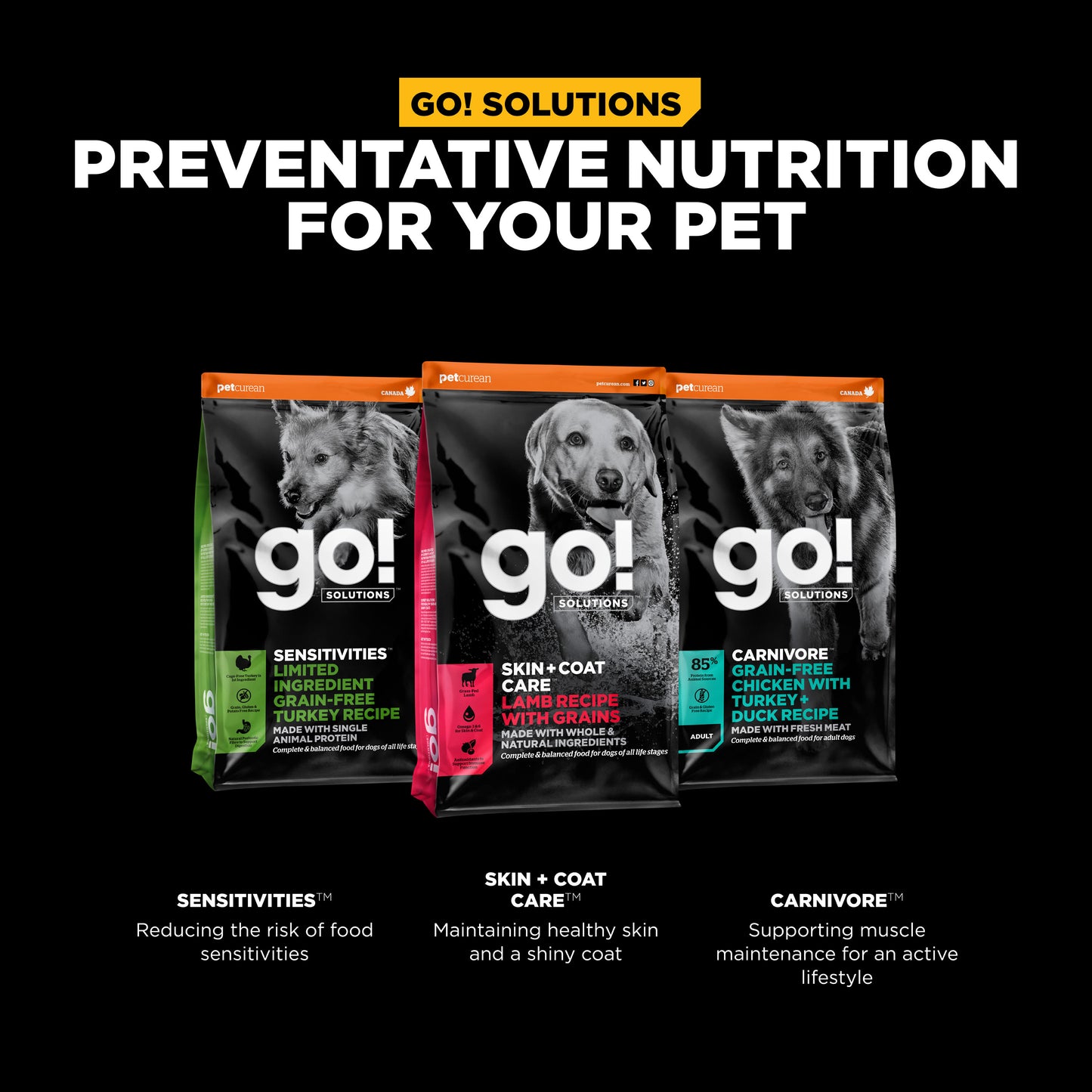 Go! Solutions Skin + Coat Care Lamb Recipe with Grains Dry Dog Food