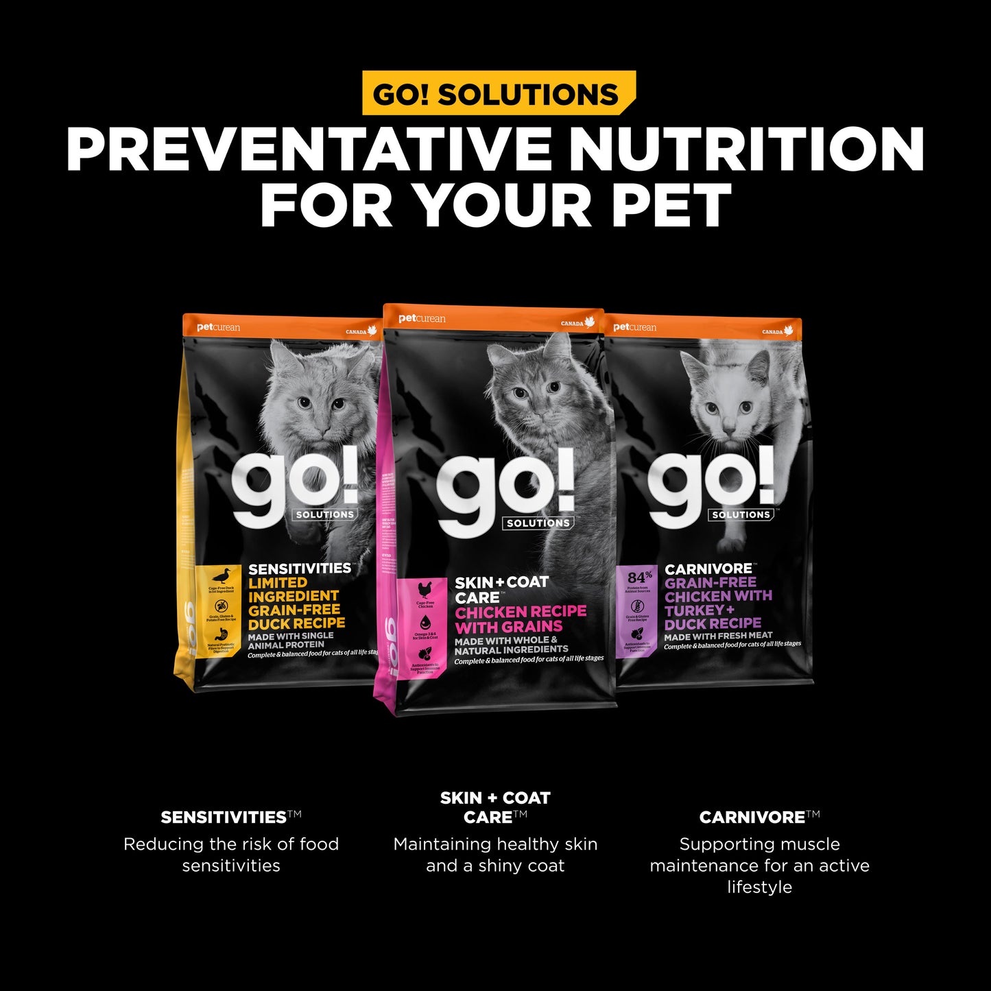 Go! Solutions Skin + Coat Care Chicken Recipe with Grains Dry Cat Food