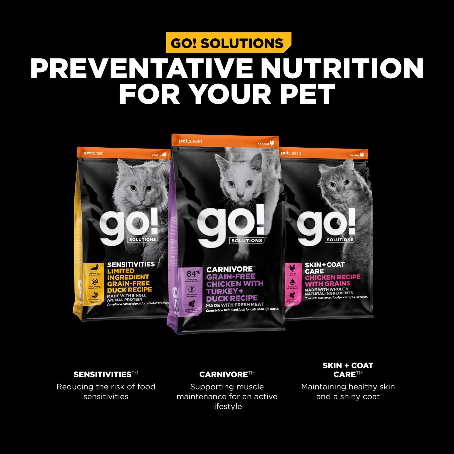 Go! Solutions Carnivore Grain Free Chicken, Turkey + Duck Recipe Dry Cat Food