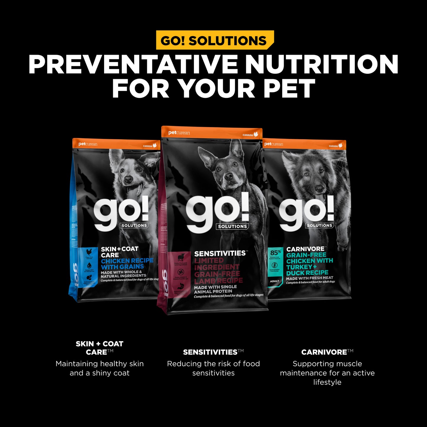 Go! Solutions Sensitivities Limited Ingredient Grain Free Lamb recipe Dry Dog Food