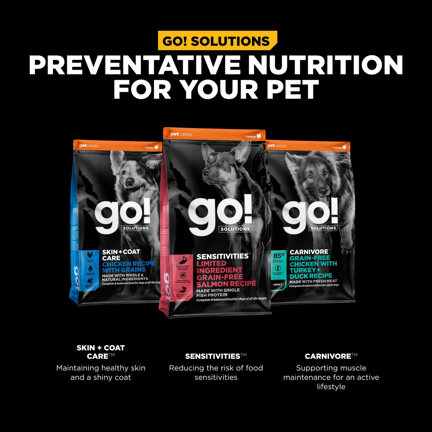 Go! Solutions Sensitivities Limited Ingredient Grain Free Salmon recipe Dry Dog Food