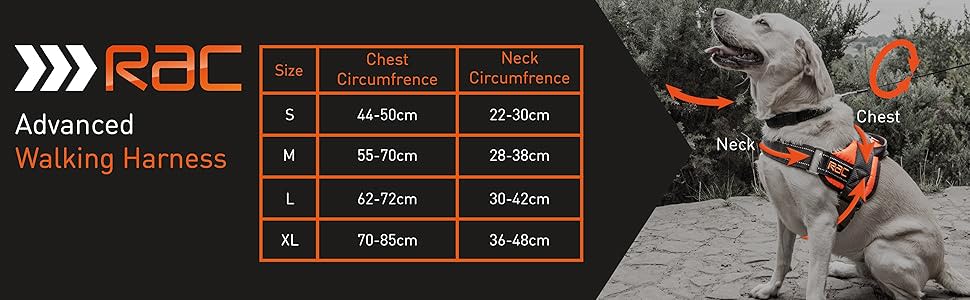 Rac Advanced Dog Harness