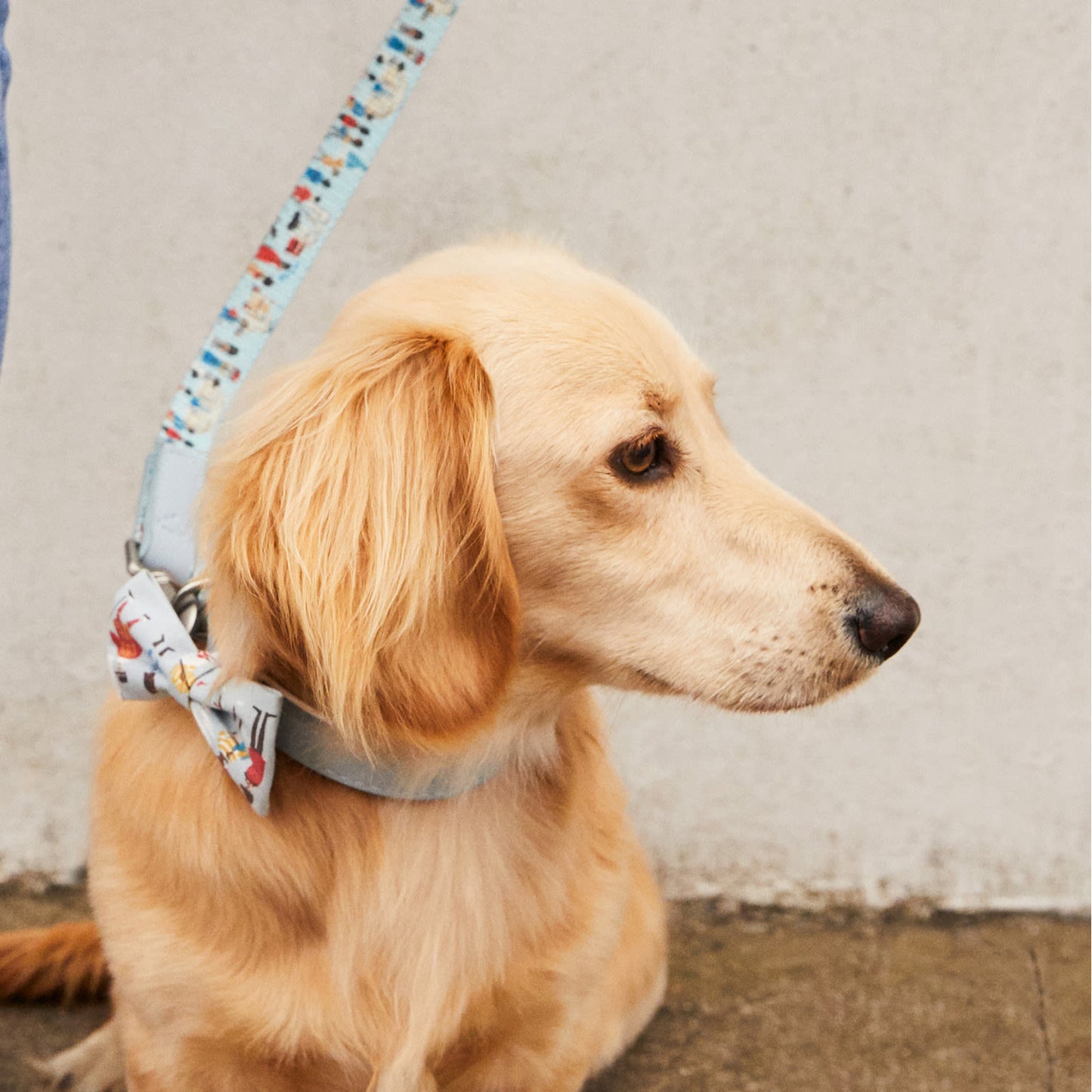 Cath Kidston London People Printed Pet Dog Collar