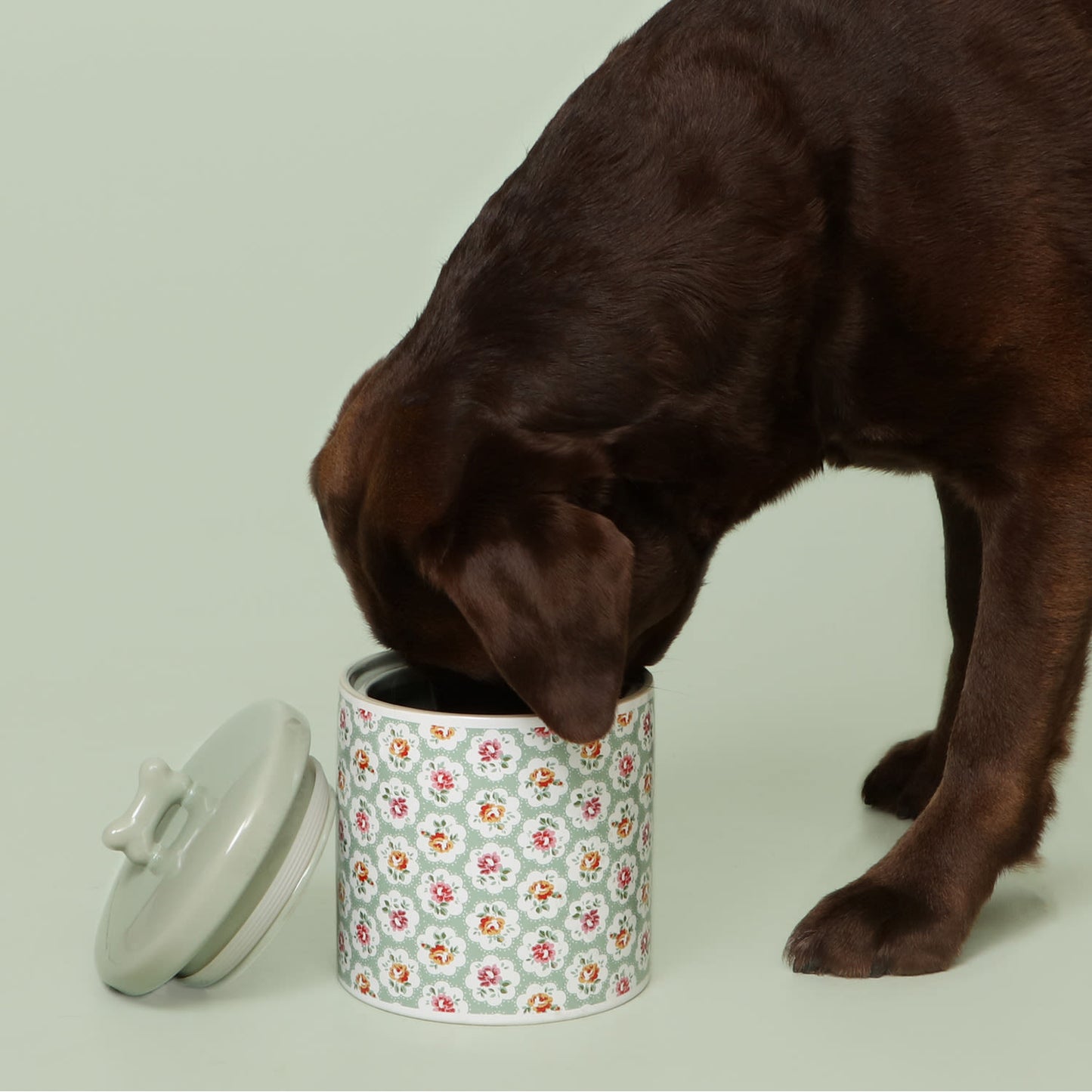 Cath Kidston Provence Rose Ceramic Treat Jar for Dogs