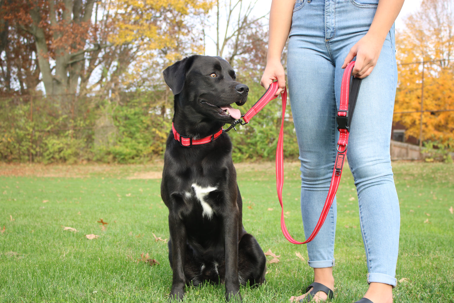 KONG Adjustable Red Dog Collar