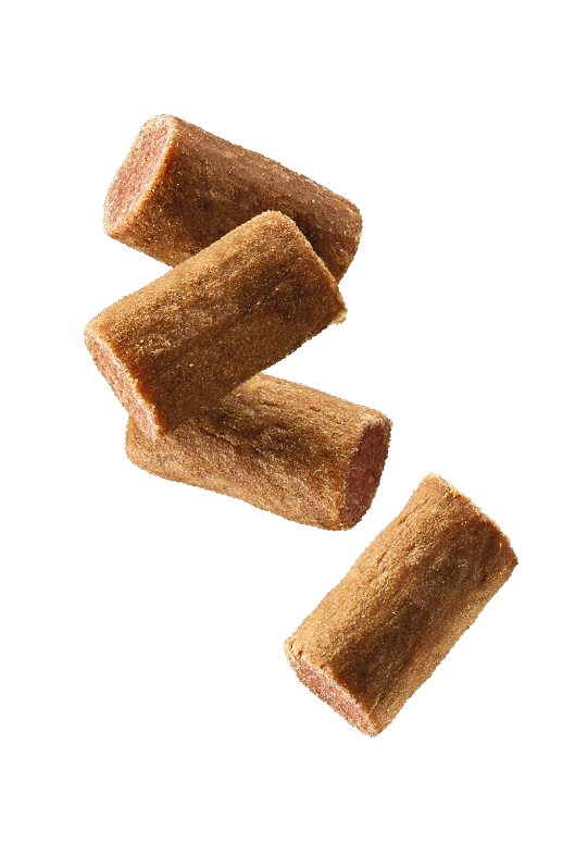 Natures Menu Meaty Treats with Chicken & Pork for Puppy Dogs