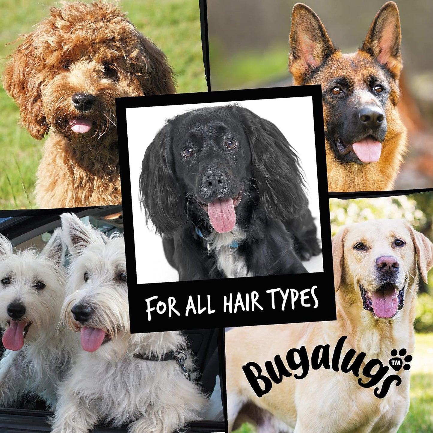Bugalugs One in a Million Dog Shampoo