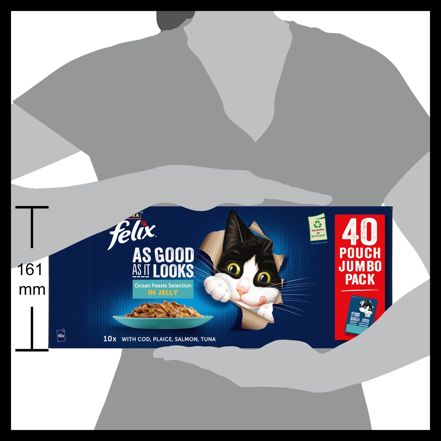 Felix As Good As it Looks Ocean Feasts Wet Cat Food