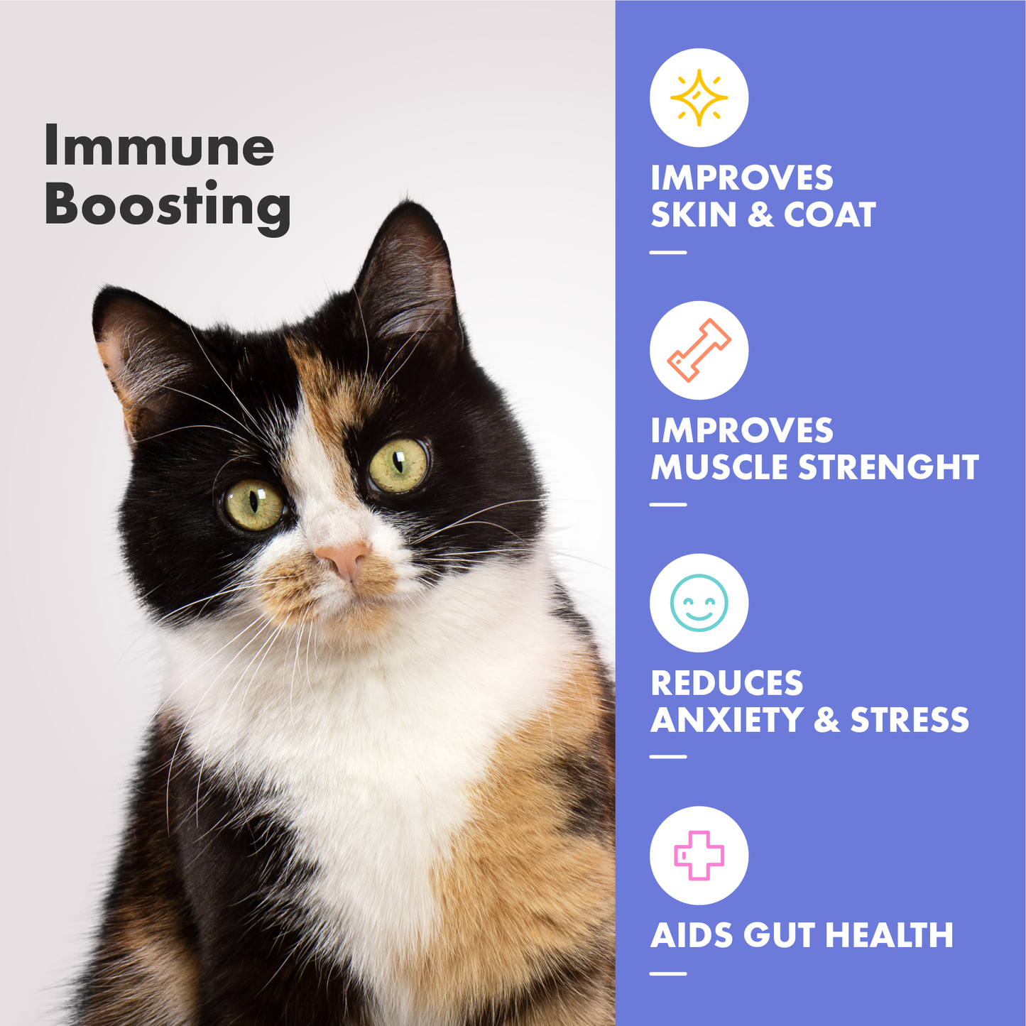 DotDotPet Multifit Multivitamins Cat Gummies