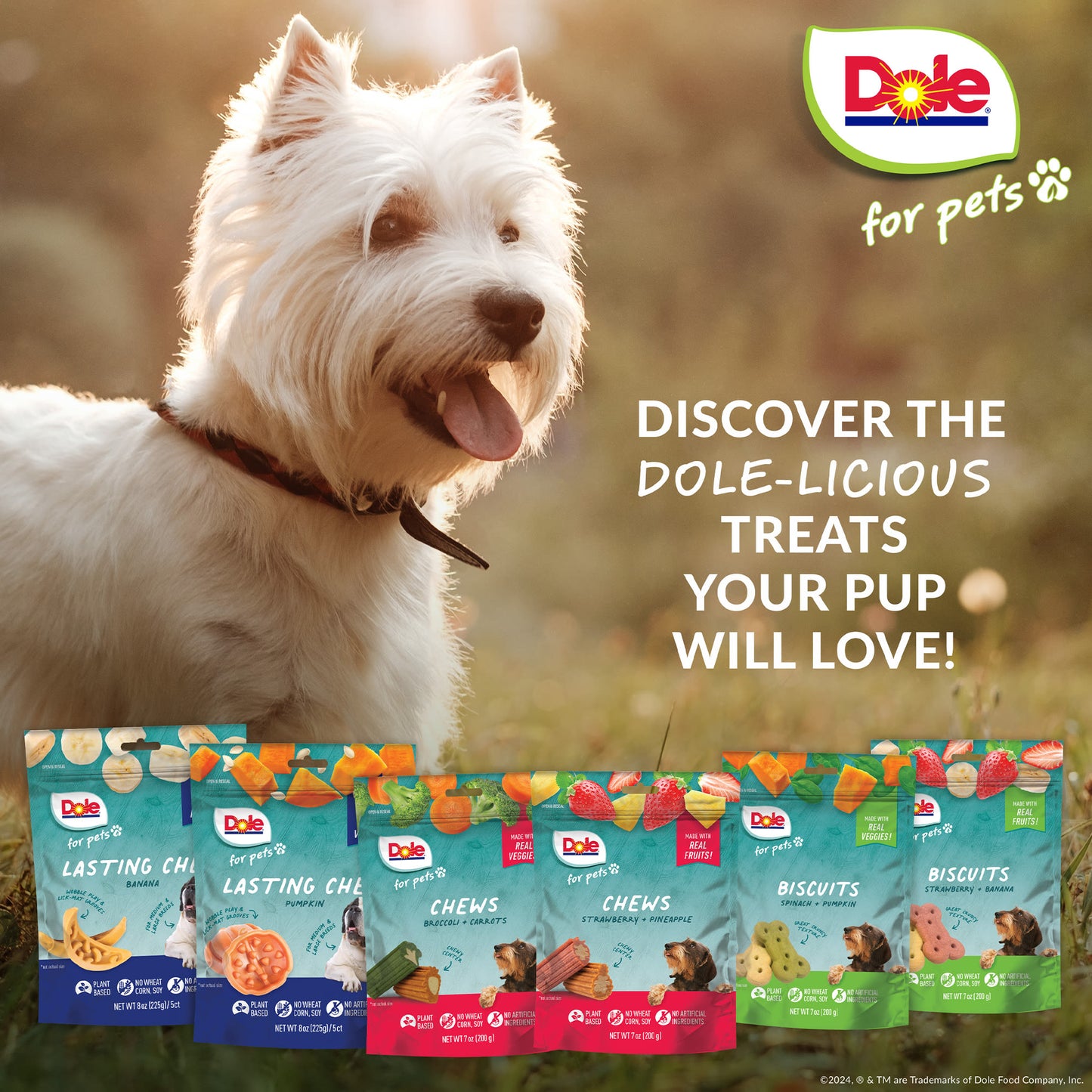 Dole Spinach & Pumpkin Dog Biscuits
