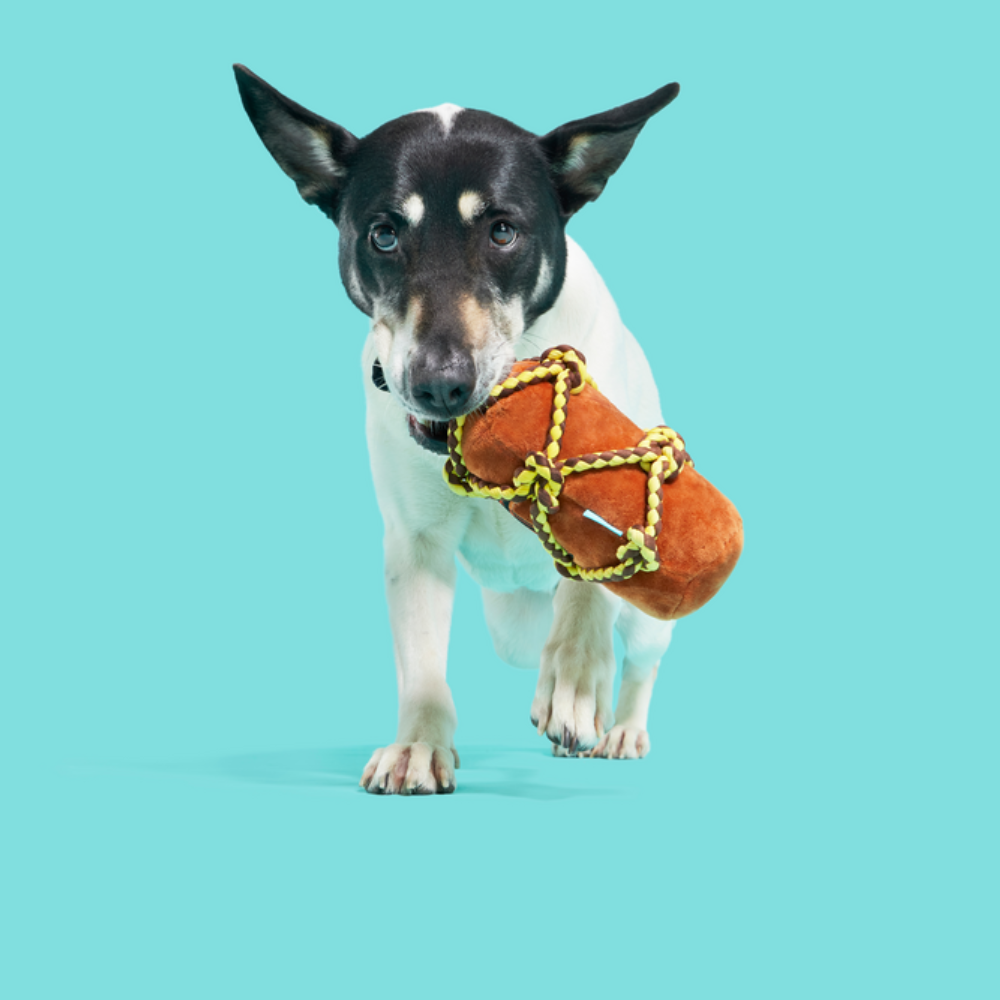 BARK Beard's Rum Dog Toy