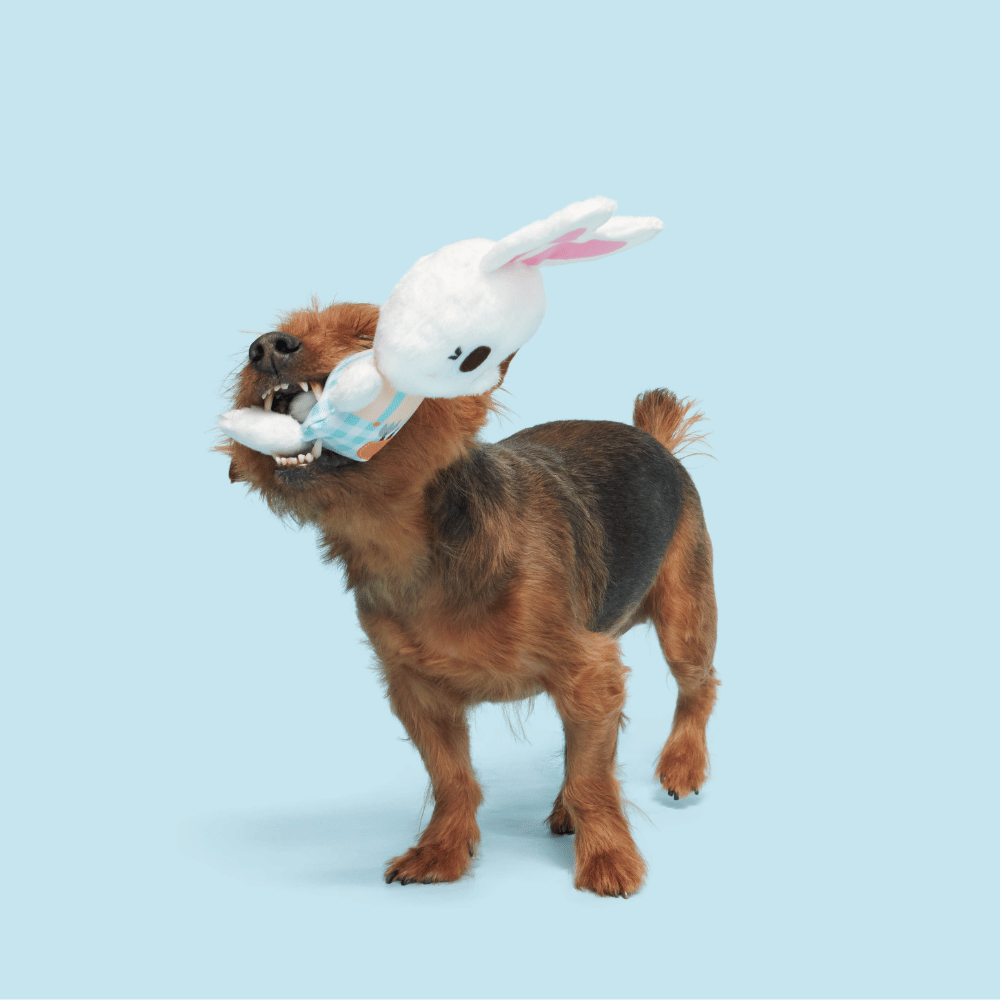 BARK Green Thumb Bun Dog Toy