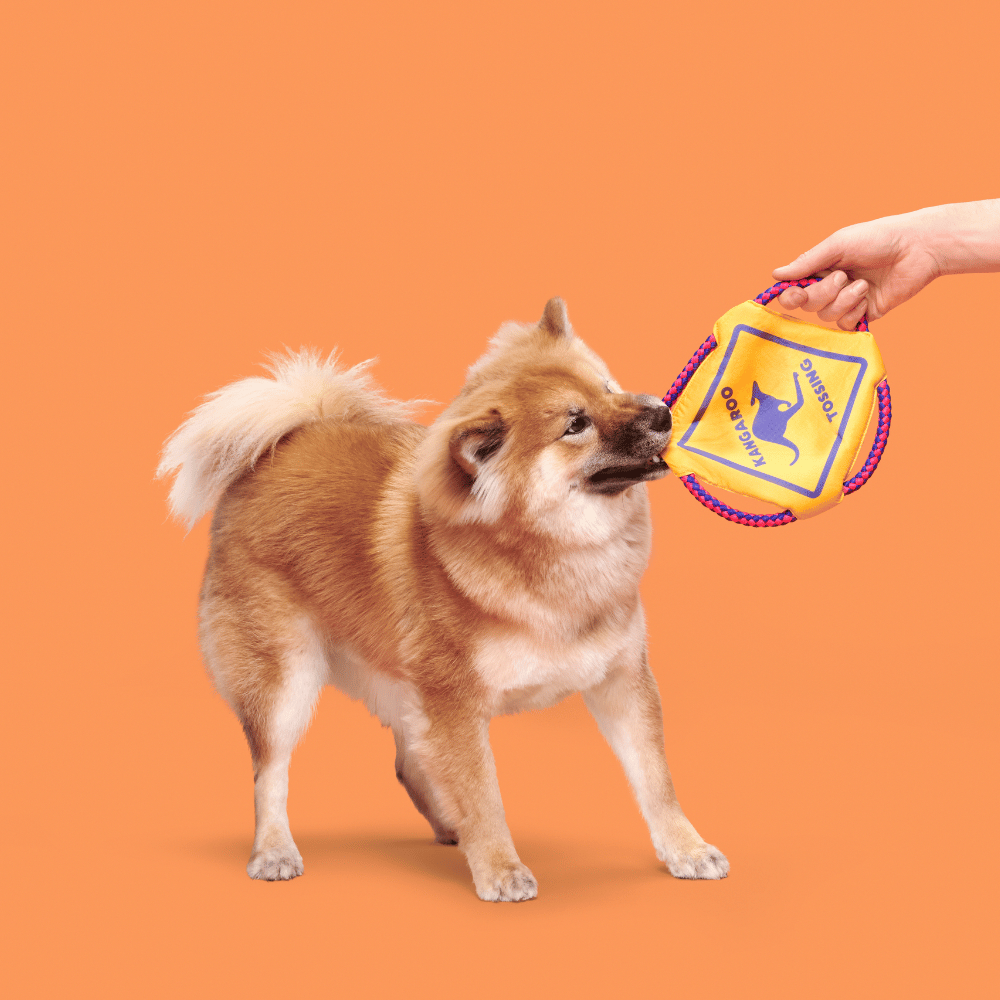 BARK Kangaroo Tossing Dog Toy