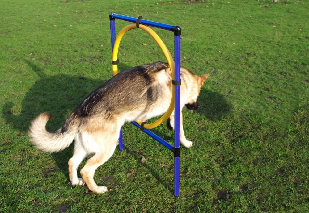 Pet Brands Agility Hoop Jump for Dogs
