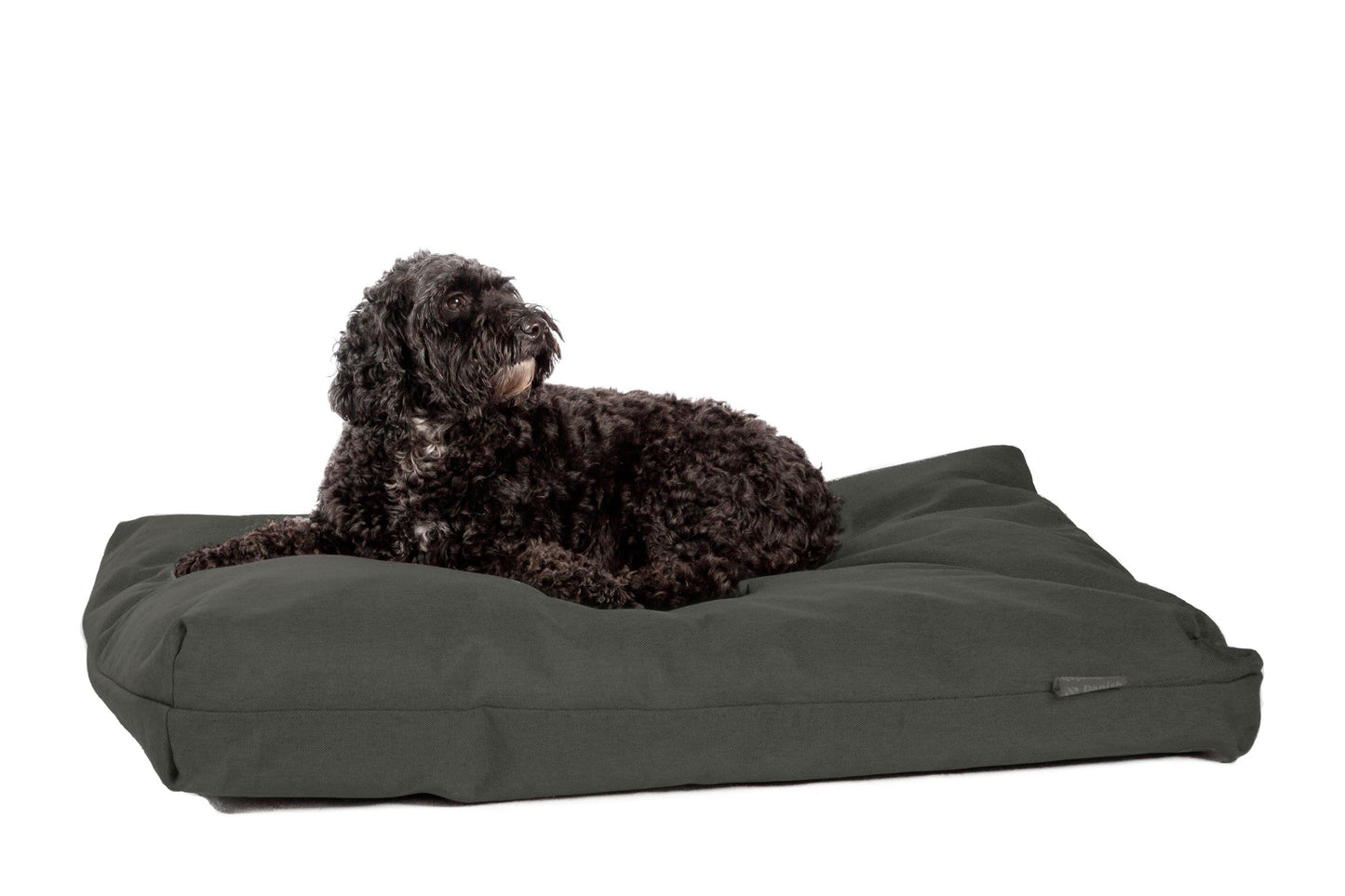 Danish Design Anti-Bacterial Deluxe Duvet Dog Bed - Green