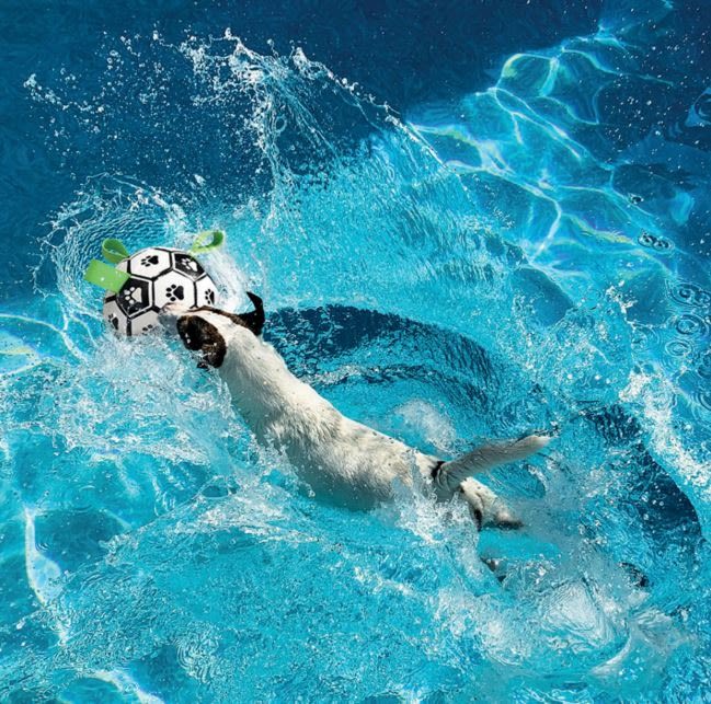 M-Pets Soccer Ball Dog Toy