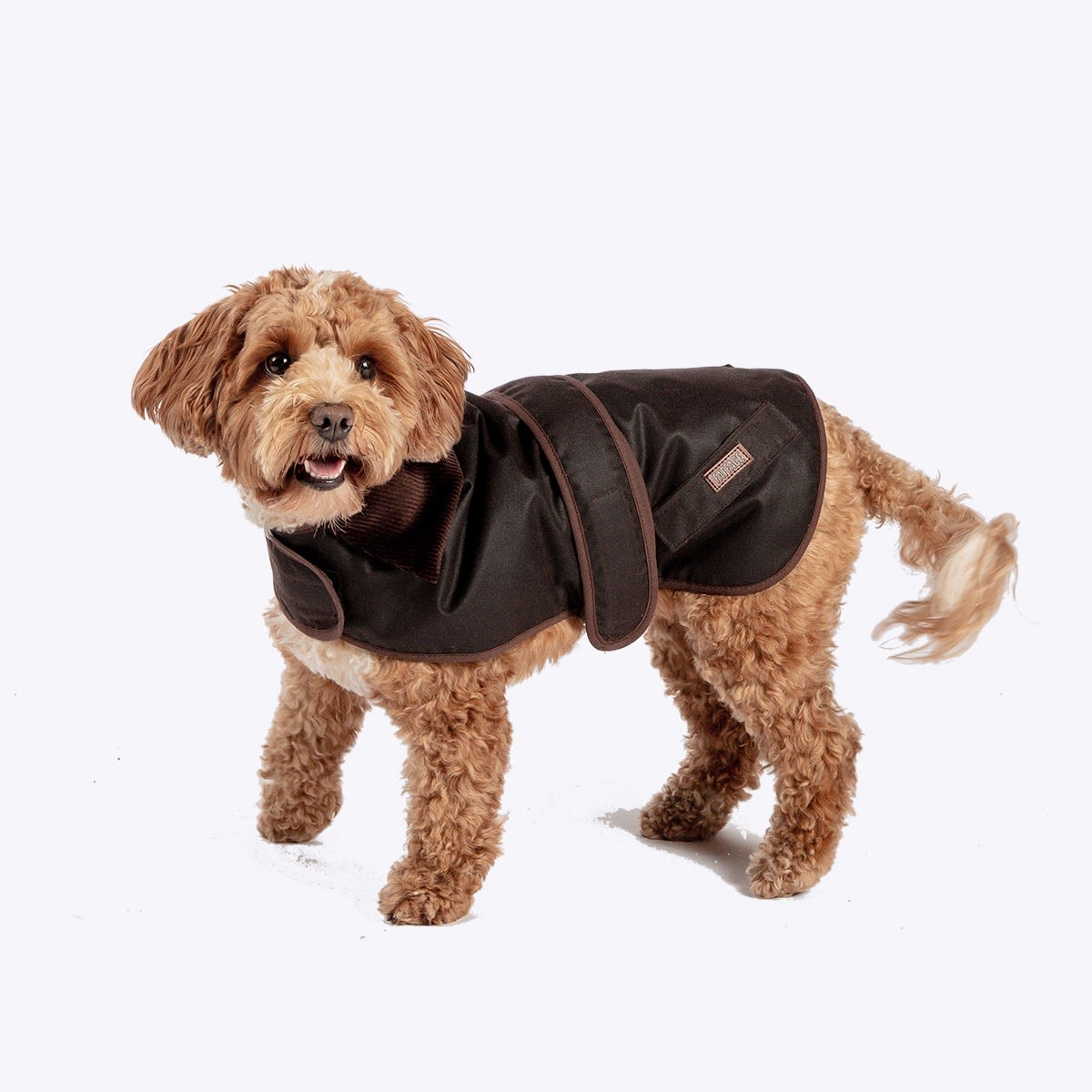 Danish Design Fatface Sussex Wax Dog Coat - Brown