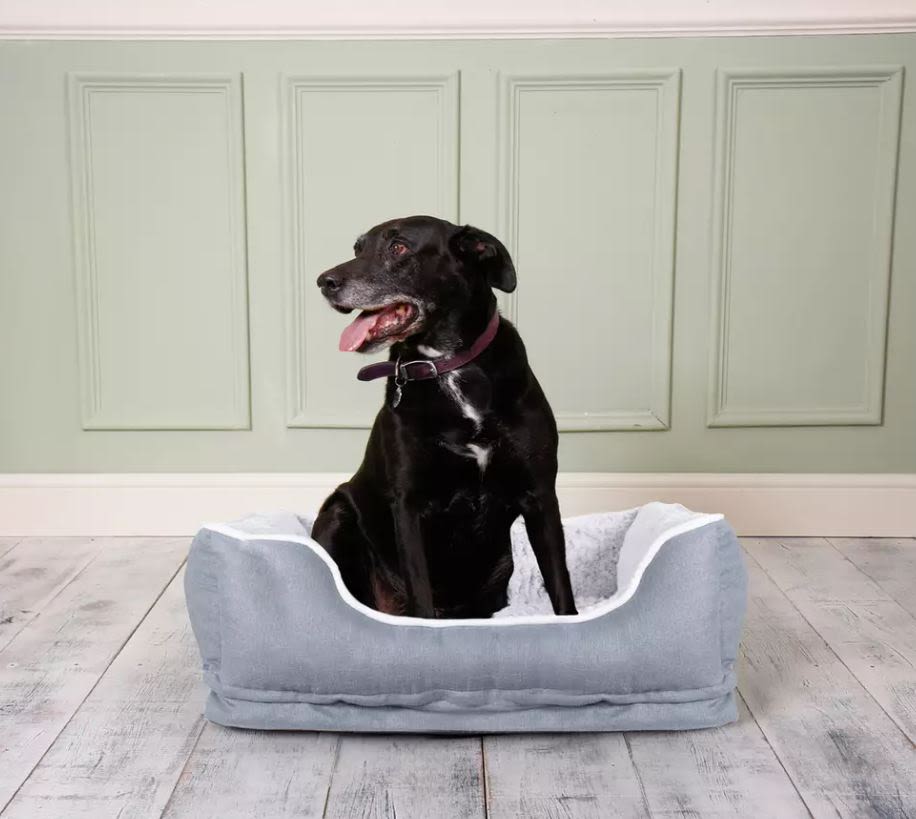 Dream Paws Pet Sofa Bed