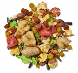 Mr Johnson's Supreme Hamster & Gerbil Mix