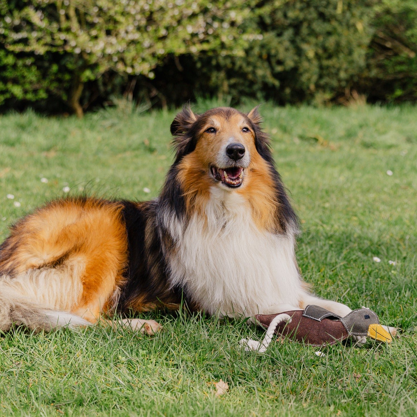 Banbury & Co Rural Retreats Suede Duck Dog Toy
