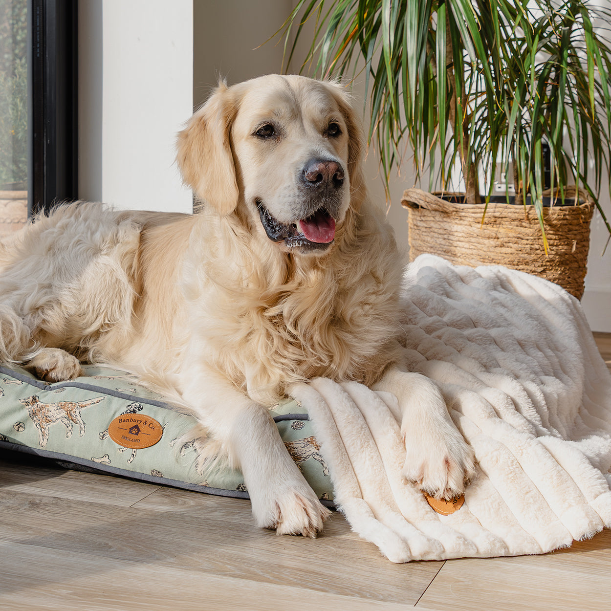 Banbury & Co Rural Retreats Almond Plush Ribbed Faux Fur Pet Blanket