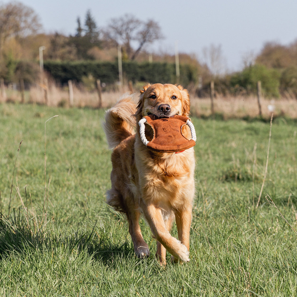 Banbury & Co Rural Retreats Suede and Rope Frisbee Dog Toy