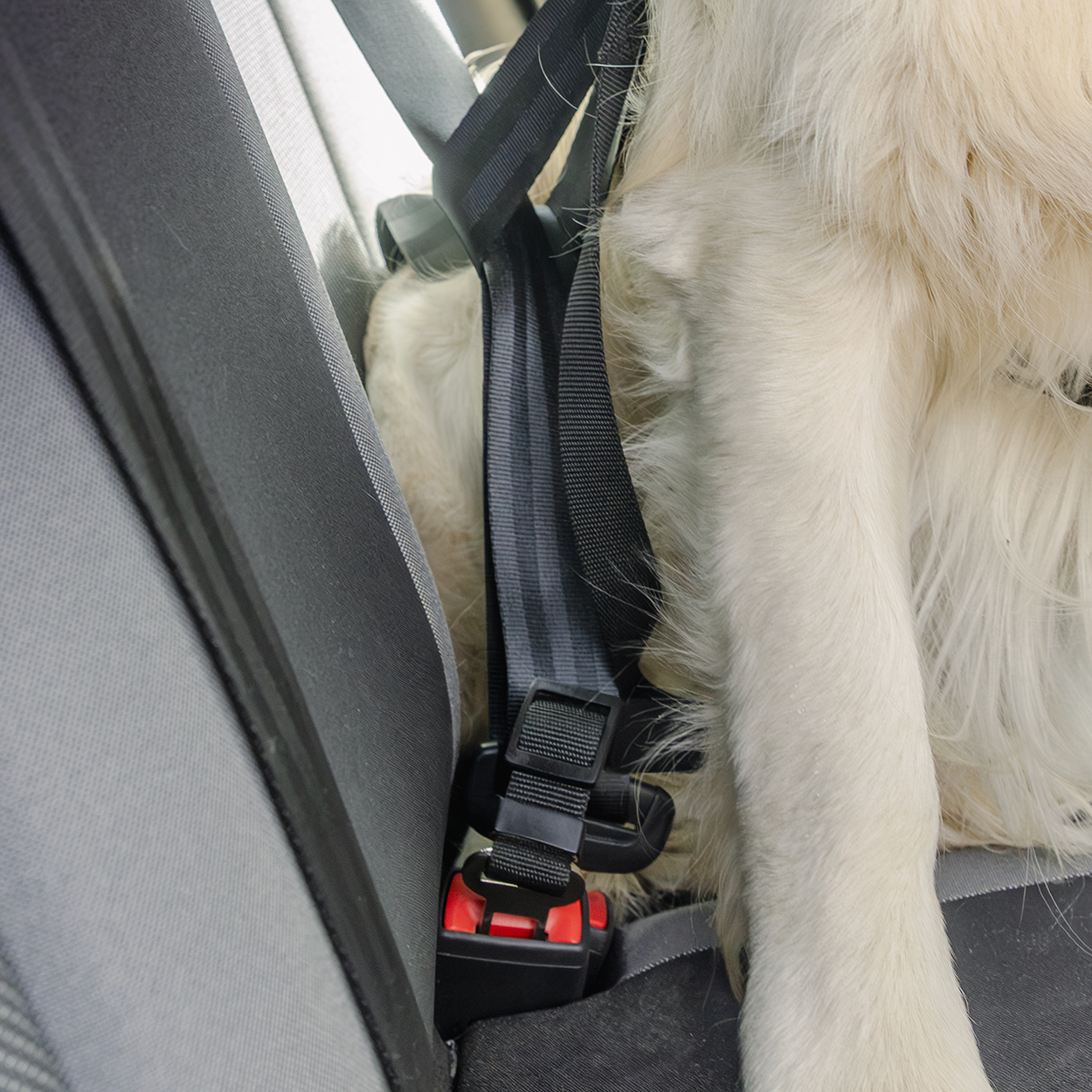 Rac In-car Seatbelt Connector Strap Harness