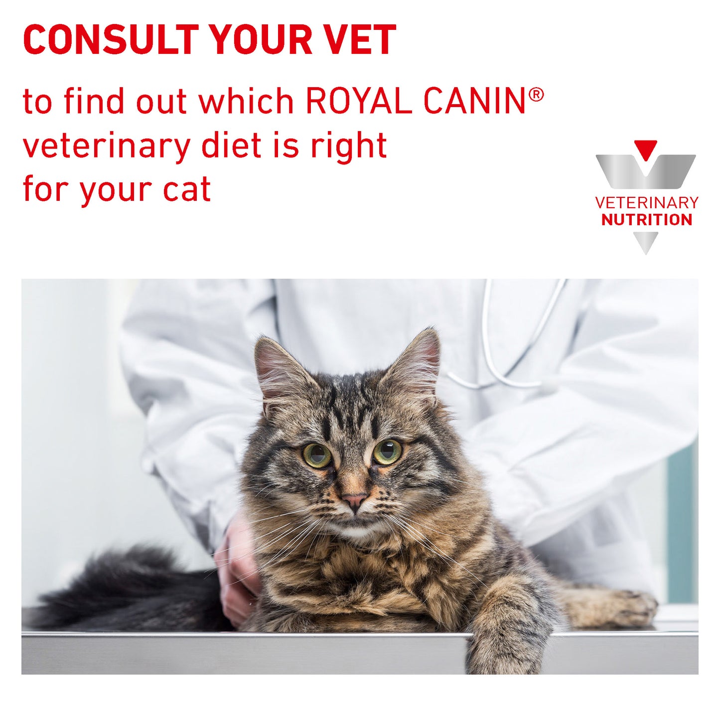 Royal Canin Veterinary Health Nutrition Feline Gastrointestinal Kitten Wet Food