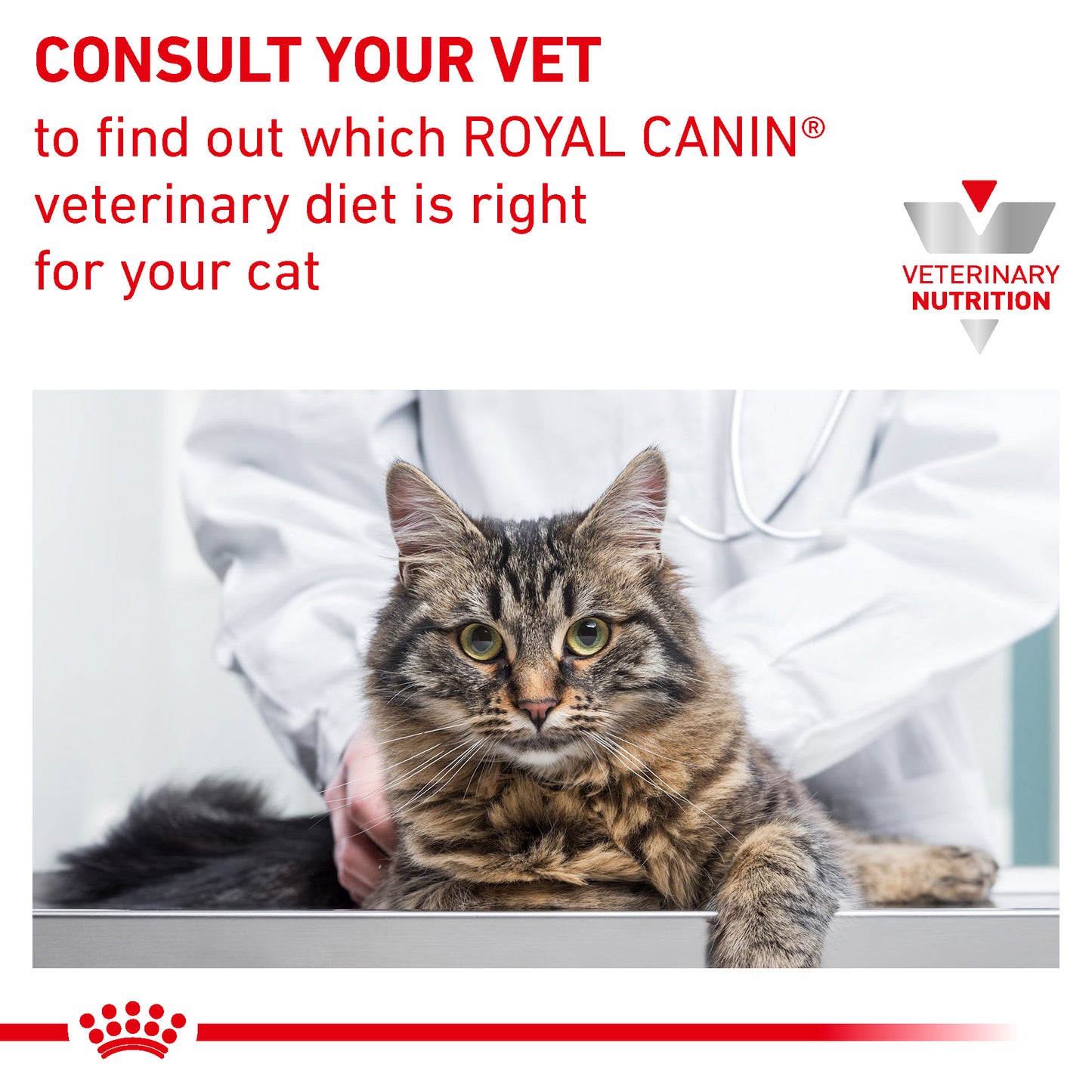 Royal Canin Gastrointestinal Fibre Response Thin Slices in Gravy Adult Wet Cat Food 12 x 85g