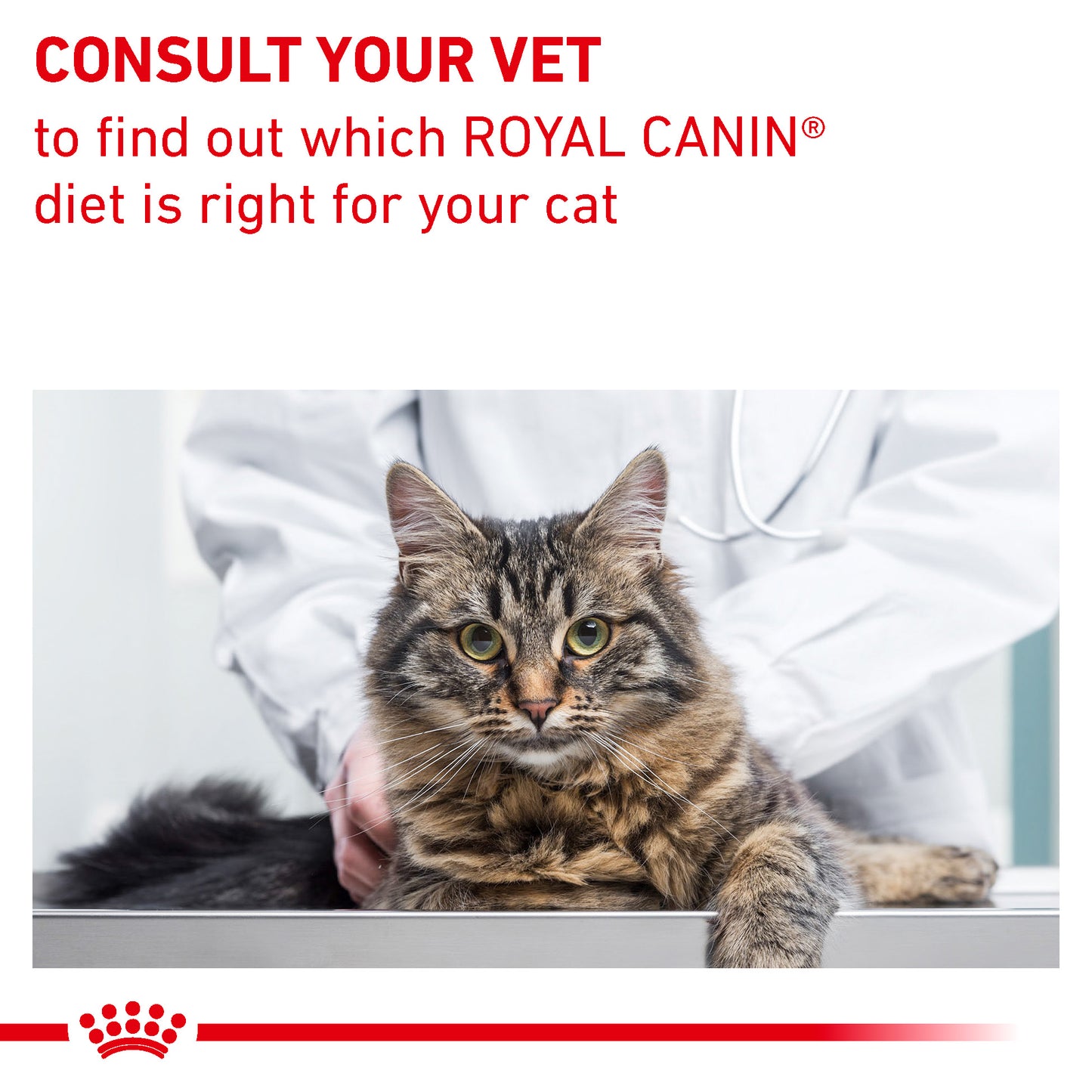 Royal Canin Gastrointestinal Fibre Response Adult Dry Cat Food