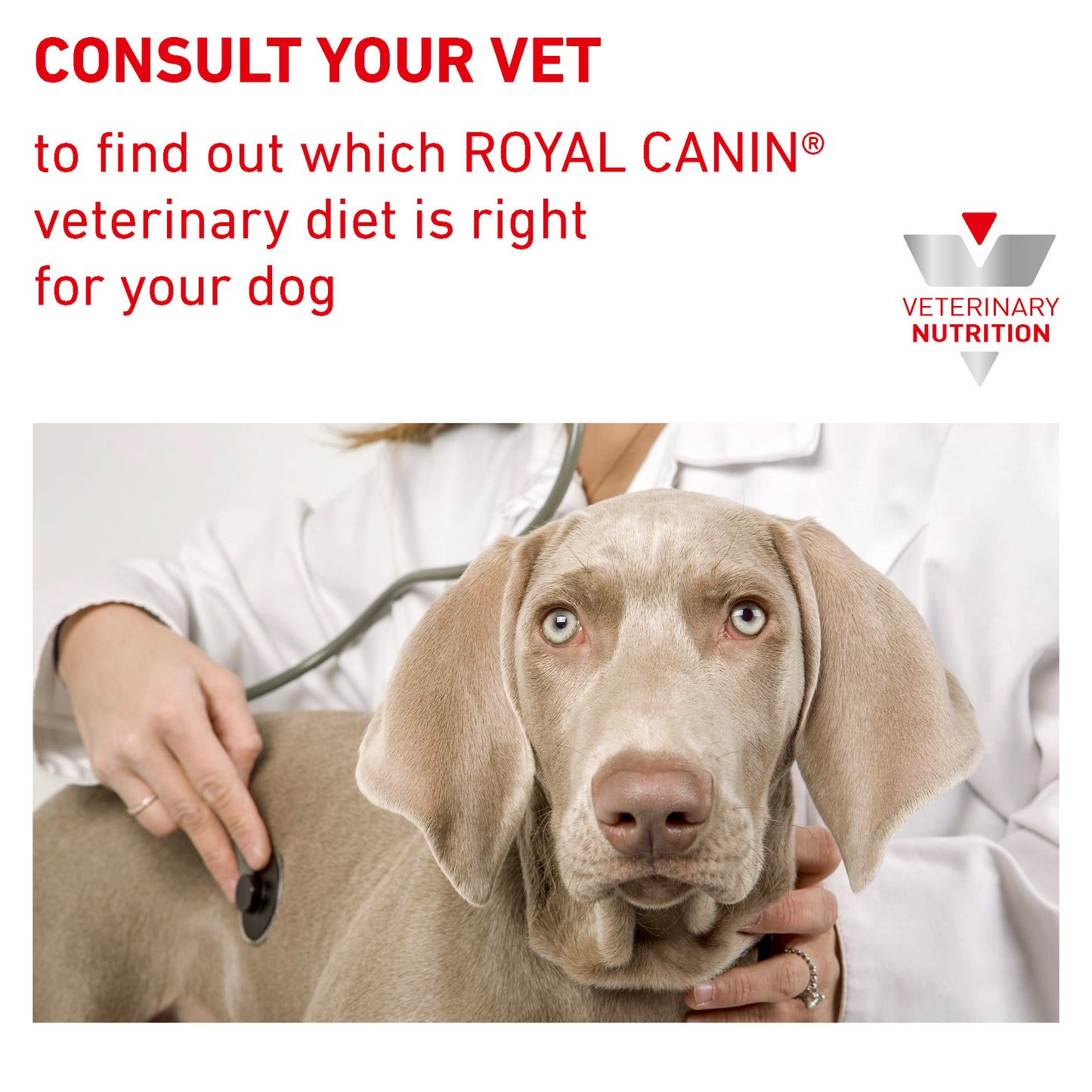 Royal Canin Hepatic Adult Dry Dog Food