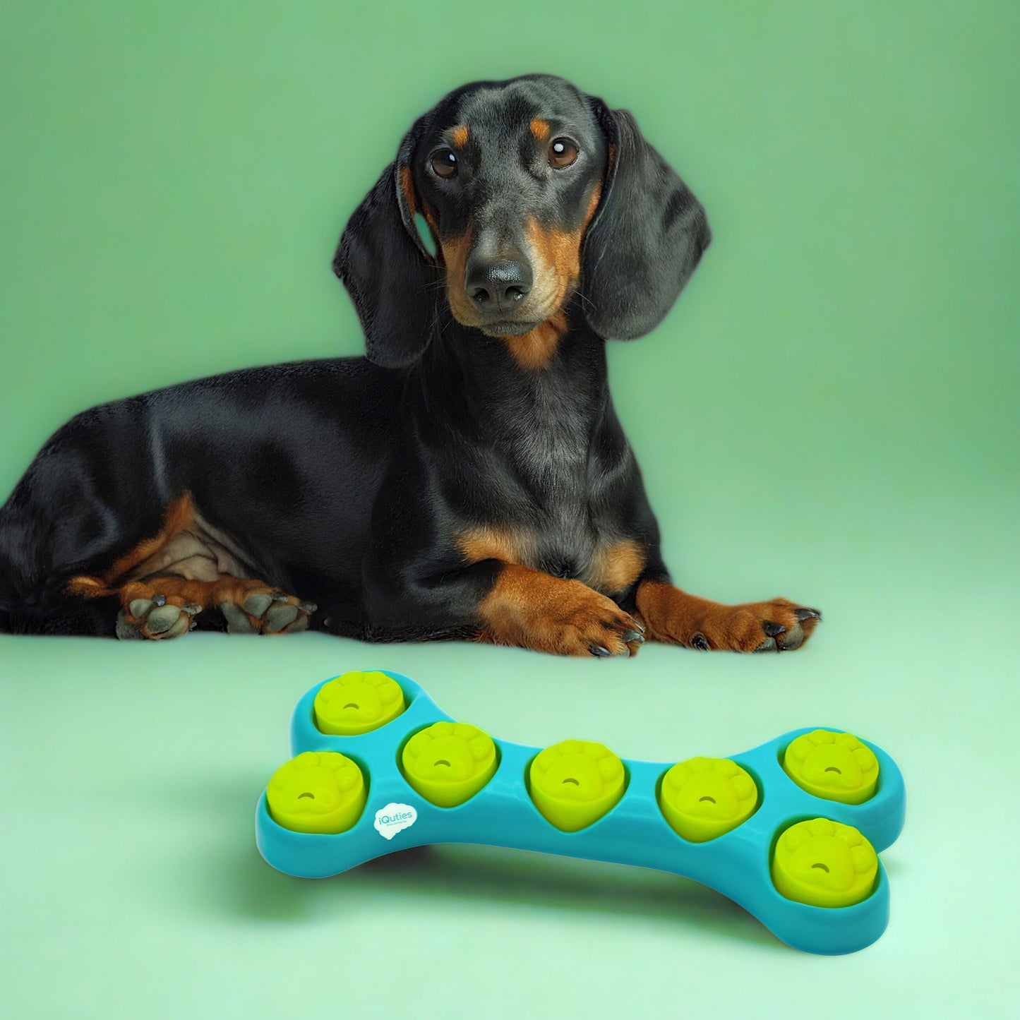 iQuties Bone Hide Interactive Puzzle Treat Dispenser Dog Toy