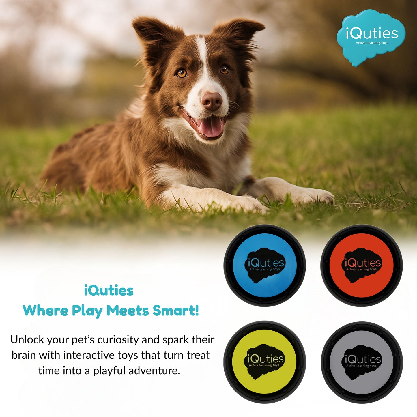 iQuties Training Buzzer Interactive Puzzle Dog Toy