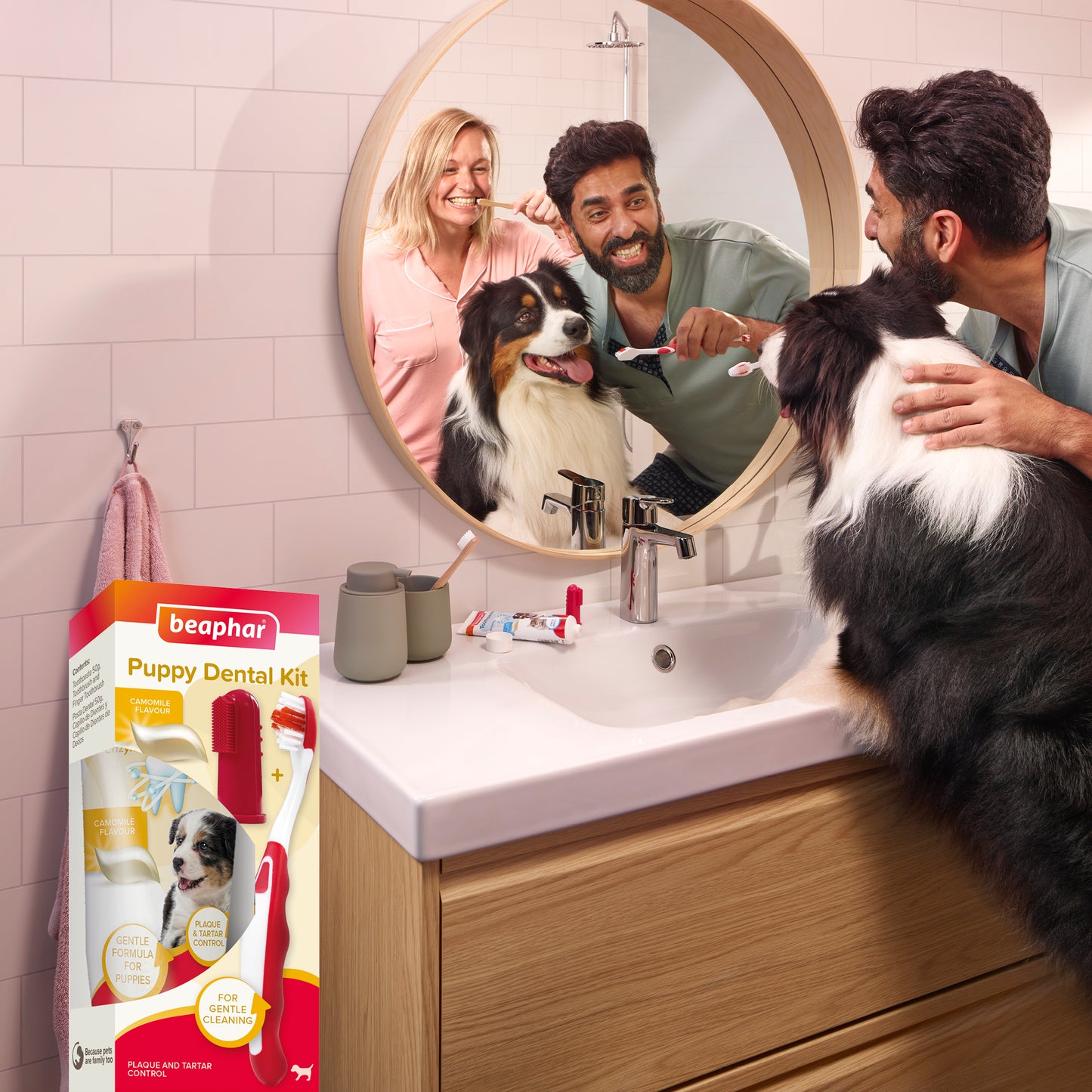 Beaphar Puppy Dental Kit