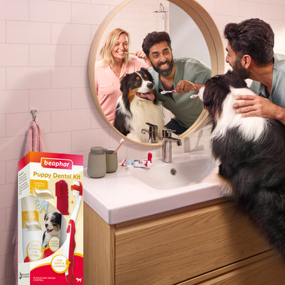 Beaphar Puppy Dental Kit