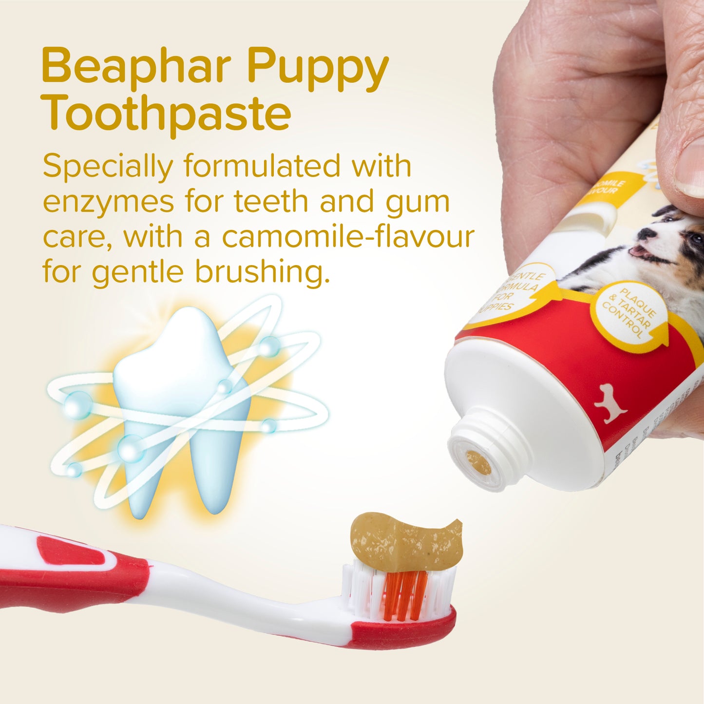 Beaphar Puppy Dental Kit