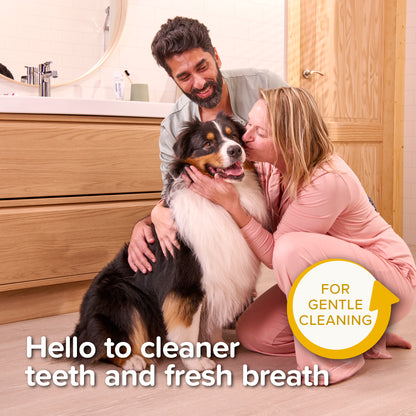 Beaphar Puppy Dental Kit
