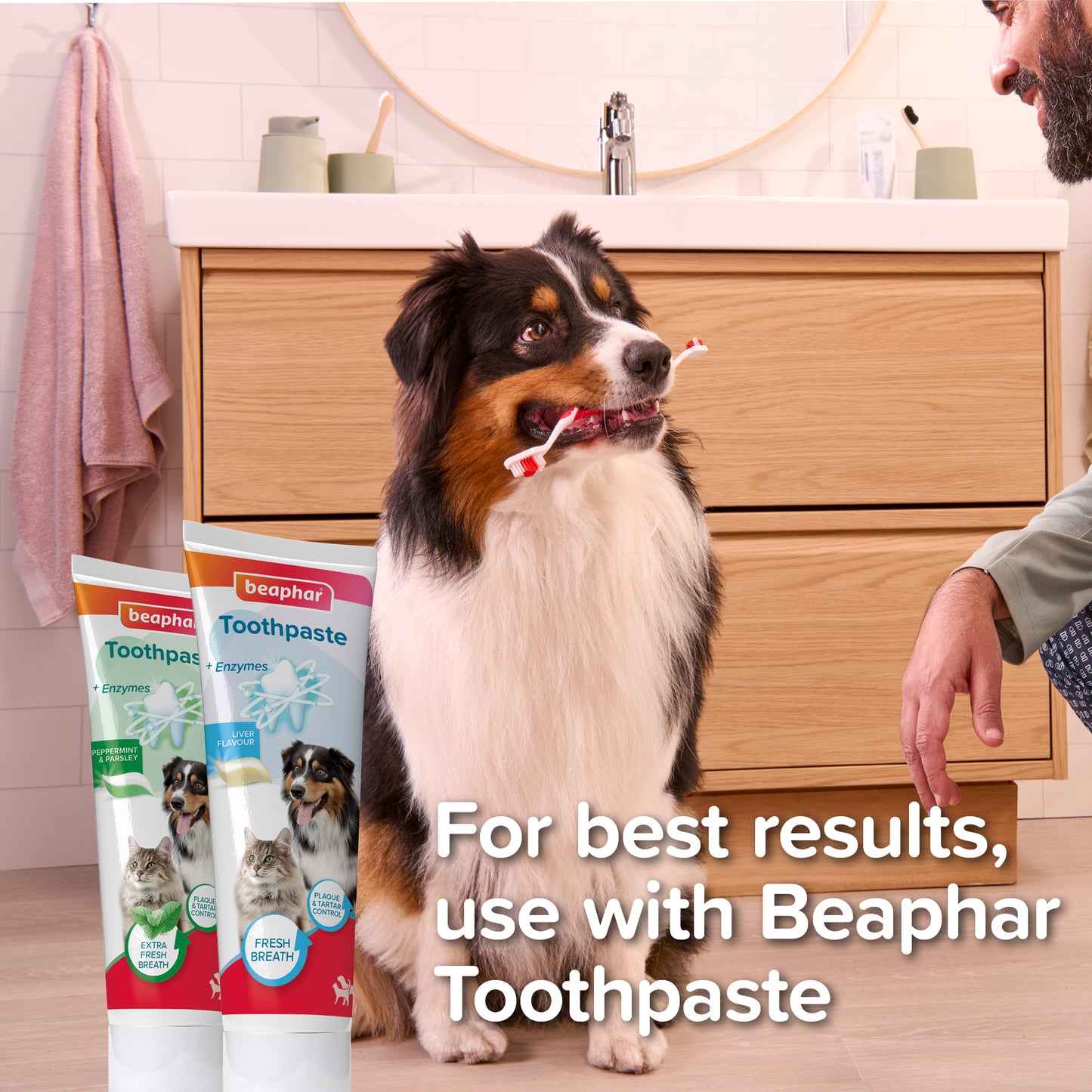 Beaphar Toothbrush for Dog & Cat